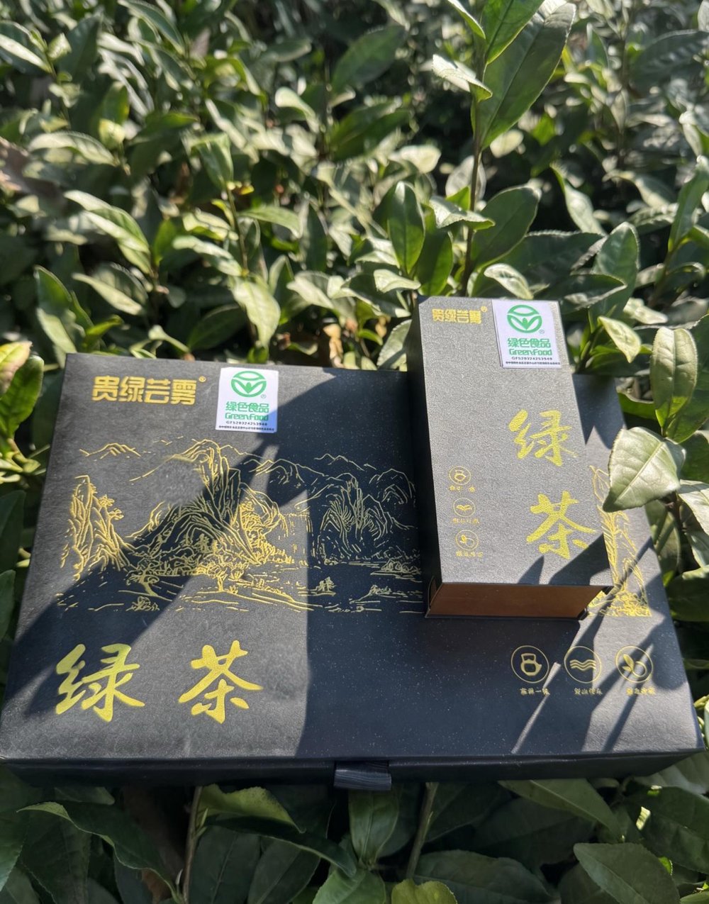 礼盒展示1